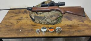 HW35 pellet testing